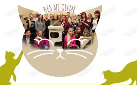 PESALEIDJA MTÜ võitis Kuusalu valla hulkuvate loomade hanke