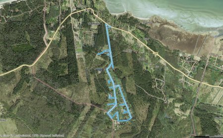 Teeäärte korrastustööd Salmistu külas