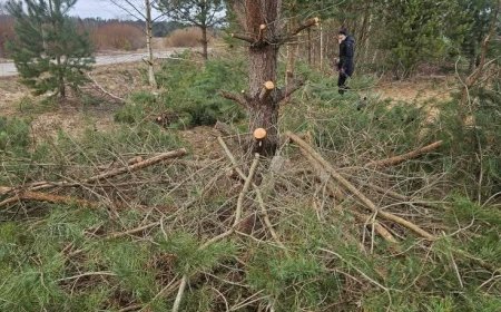 Kuusalu valla teeäärsed puhastustööd tekitasid pahameeletormi