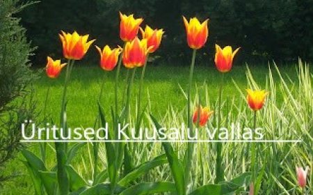 Üritused Kuusalu vallas 14.03-05.04.2025