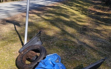 KAHALA TALGUPÄEV: KEVADKORISTUS TÕI PÄEVAVALGELE ÜLLATAVAID LEIDE