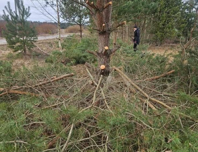 Kuusalu valla teeäärsed puhastustööd tekitasid pahameeletormi