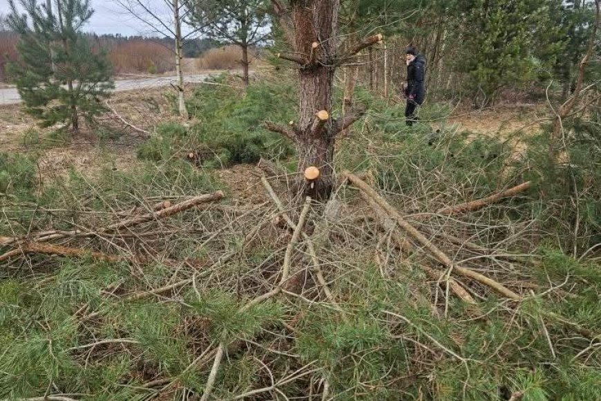 Kuusalu valla teeäärsed puhastustööd tekitasid pahameeletormi