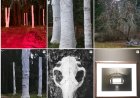 Valgejõe kunstnik Eleanora Alis Tofte avab näituse "Mööduv" - monument elu haprusele ja kaduvusele