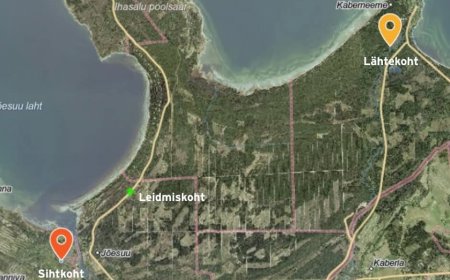 Politsei otsib tunnistajaid: mees leiti raskes seisus kraavist Jõelähtmel – mis juhtus Kaberneemest koduteel olnud mehega?