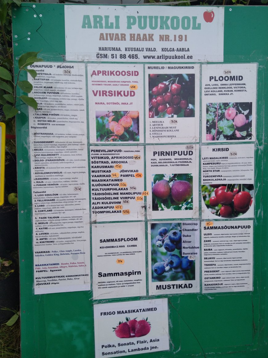 Kahala Liiva Laat tõi taas kokku rahva ja kauplejad