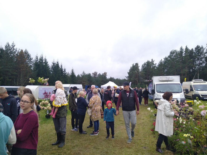 Kahala Liiva Laat tõi taas kokku rahva ja kauplejad
