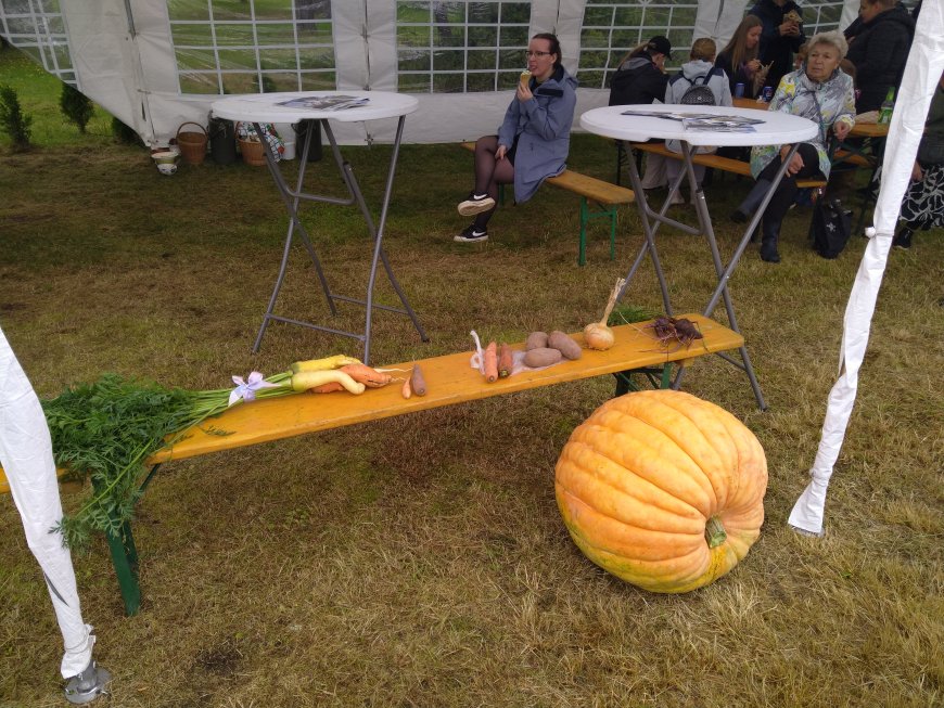 Kahala Liiva Laat tõi taas kokku rahva ja kauplejad