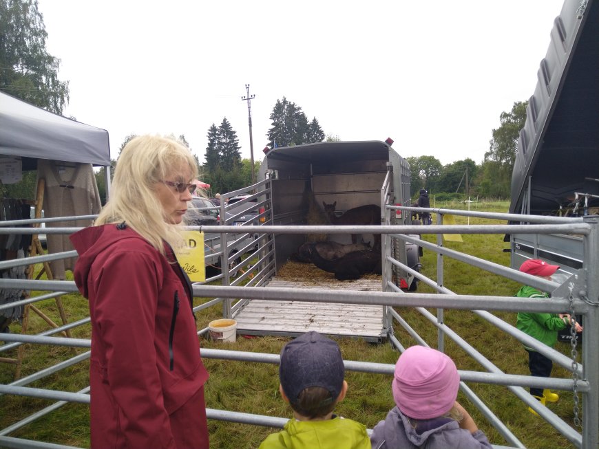 Kahala Liiva Laat tõi taas kokku rahva ja kauplejad