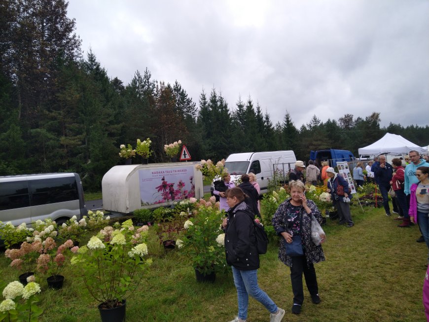 Kahala Liiva Laat tõi taas kokku rahva ja kauplejad