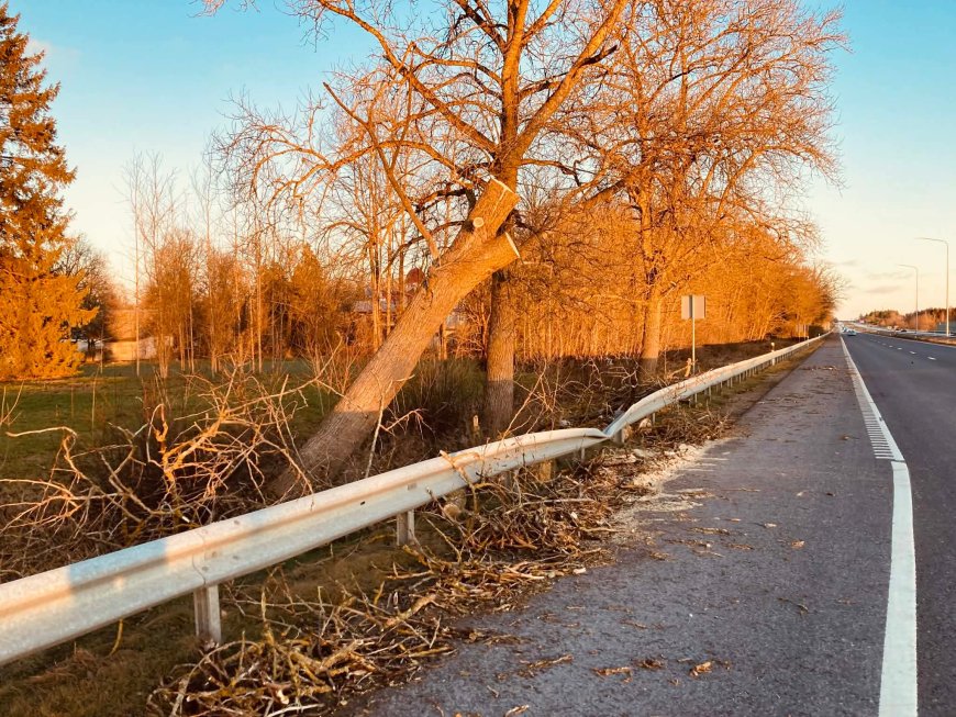 Harjumaa päästjad võitlesid nädalavahetusel tormi tagajärgedega: enim said räsida Kuusalu ja Saue