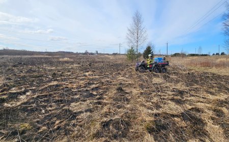 Tallinna-Narva maantee ääres sähvisid leegid: purunenud liinid tekitasid Kiius ohtliku olukorra