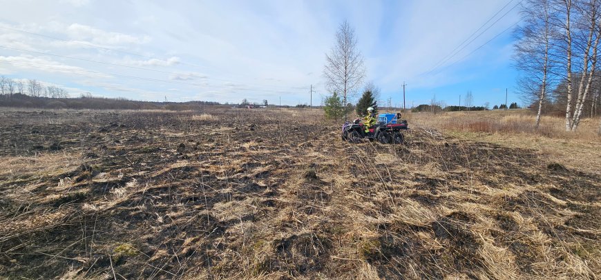 Tallinna-Narva maantee ääres sähvisid leegid: purunenud liinid tekitasid Kiius ohtliku olukorra