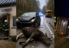 Kuusalu vallas mitu päästesündmust järjestikustel päevadel