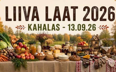 Kahala Liiva laat tõi kokku tuhandeid külastajaid: heatahtlikku rahvast ja kodust melu ei heidutanud ka vihmaprognoos